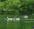 _KHJ0656.jpg