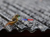 _KHJ8240 복사.jpg